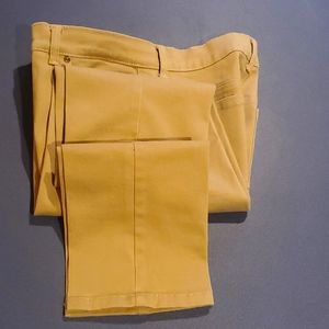 Gloria Vanderbilt Straight Leg Pant